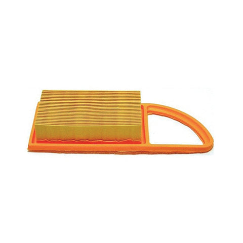 Air Filter 4 Cycle