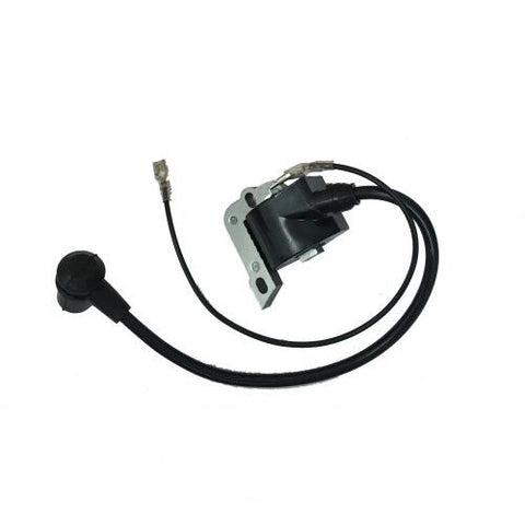 Ignition Coil 2 Cycle