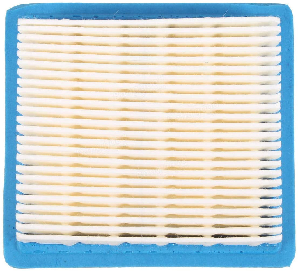 Pack of 2 Air Filter Briggs & Stratton 491588S, 399959