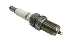 Load image into Gallery viewer, Spark Plug Briggs and Stratton Repl OEM BCPR5ES, RC12YC