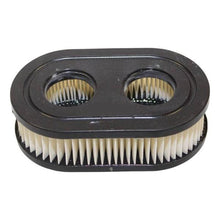 Load image into Gallery viewer, Air Filter Briggs &amp; Stratton OEM 593260, 798452