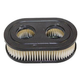 Air Filter Briggs & Stratton OEM 593260, 798452