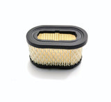 Air Filter Briggs & Stratton OEM 497725S 494586