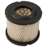 Air Filter Briggs & Stratton OEM 393957,393957S