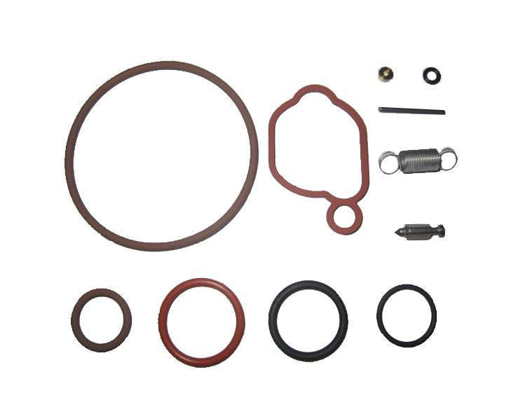 Carburetor Overhaul Kit Briggs & Stratton Repl OEM 590589 – Raisman ...
