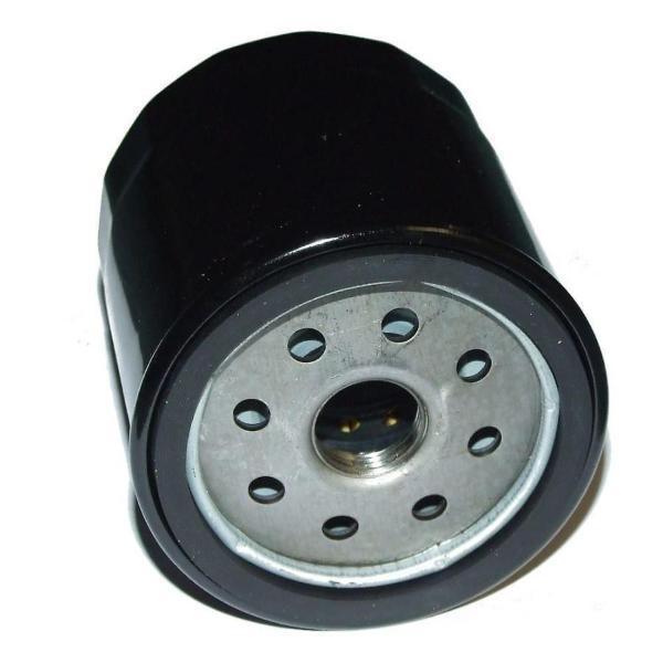 Filtre à Huile Briggs Stratton 491056 - Foto 4